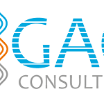 Gao-consulting-En-color_smallersized